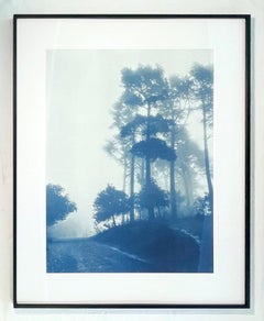 Caminante No Hay Camino  (Framed hand-printed cyanotype 30 x 24 inches)