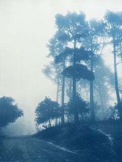 Caminante No Hay Camino  (Framed hand-printed cyanotype: 23 x 29 inches)