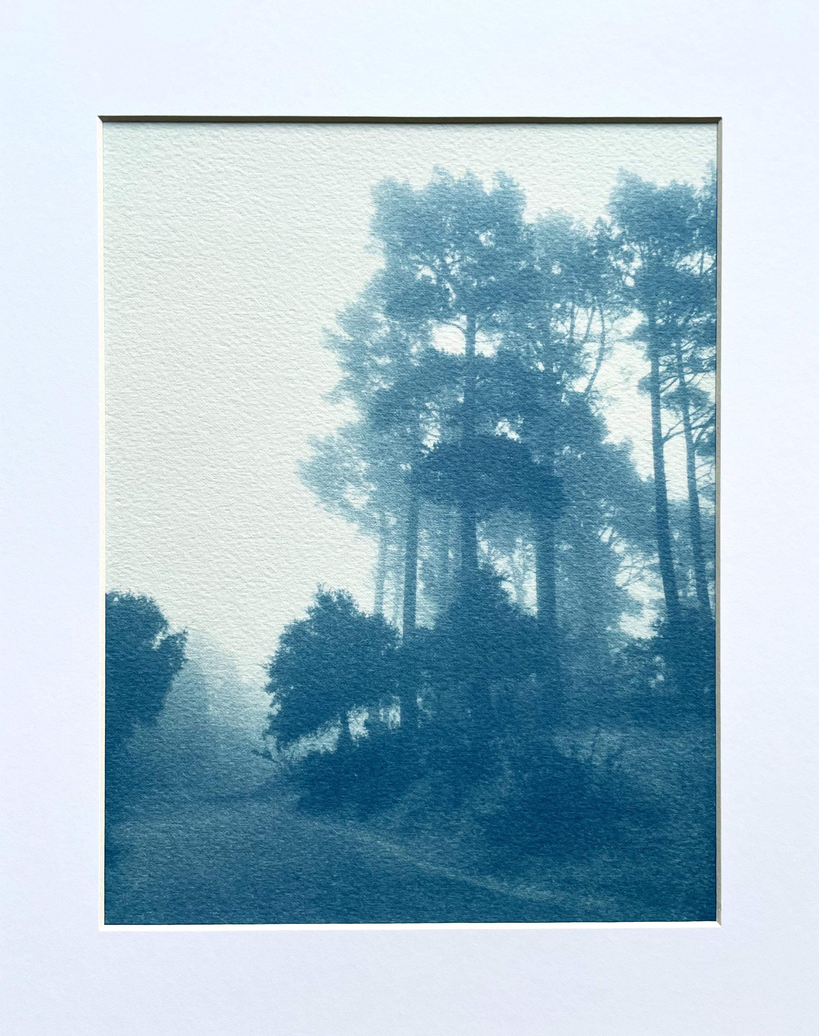 Caminante No Hay Camino (cyanotype imprimé à la main, 11 x 8.5" maté à 14 x 11")
