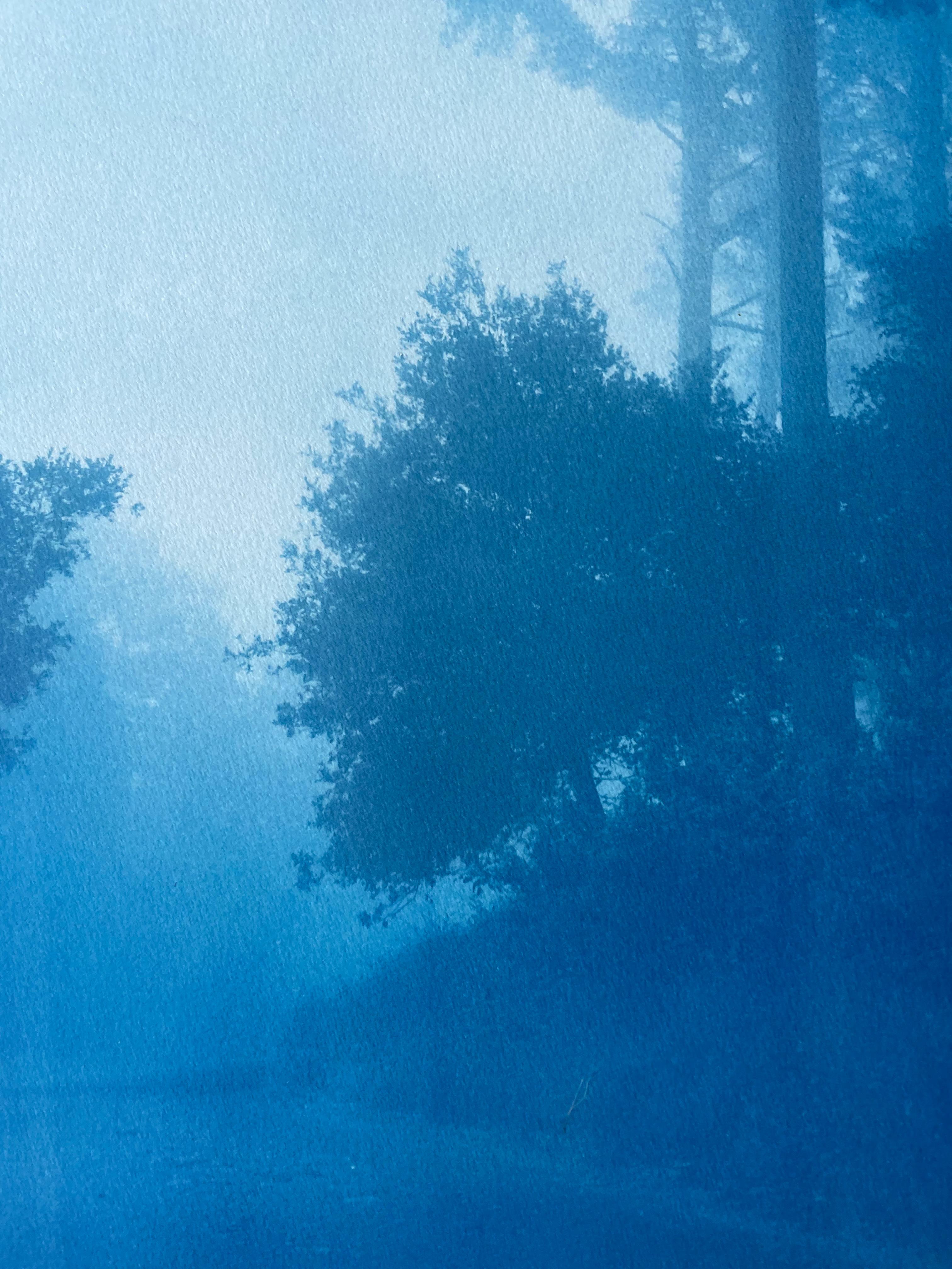 Caminante No Hay Camino (cyanotype imprimé à la main, 35 x 23