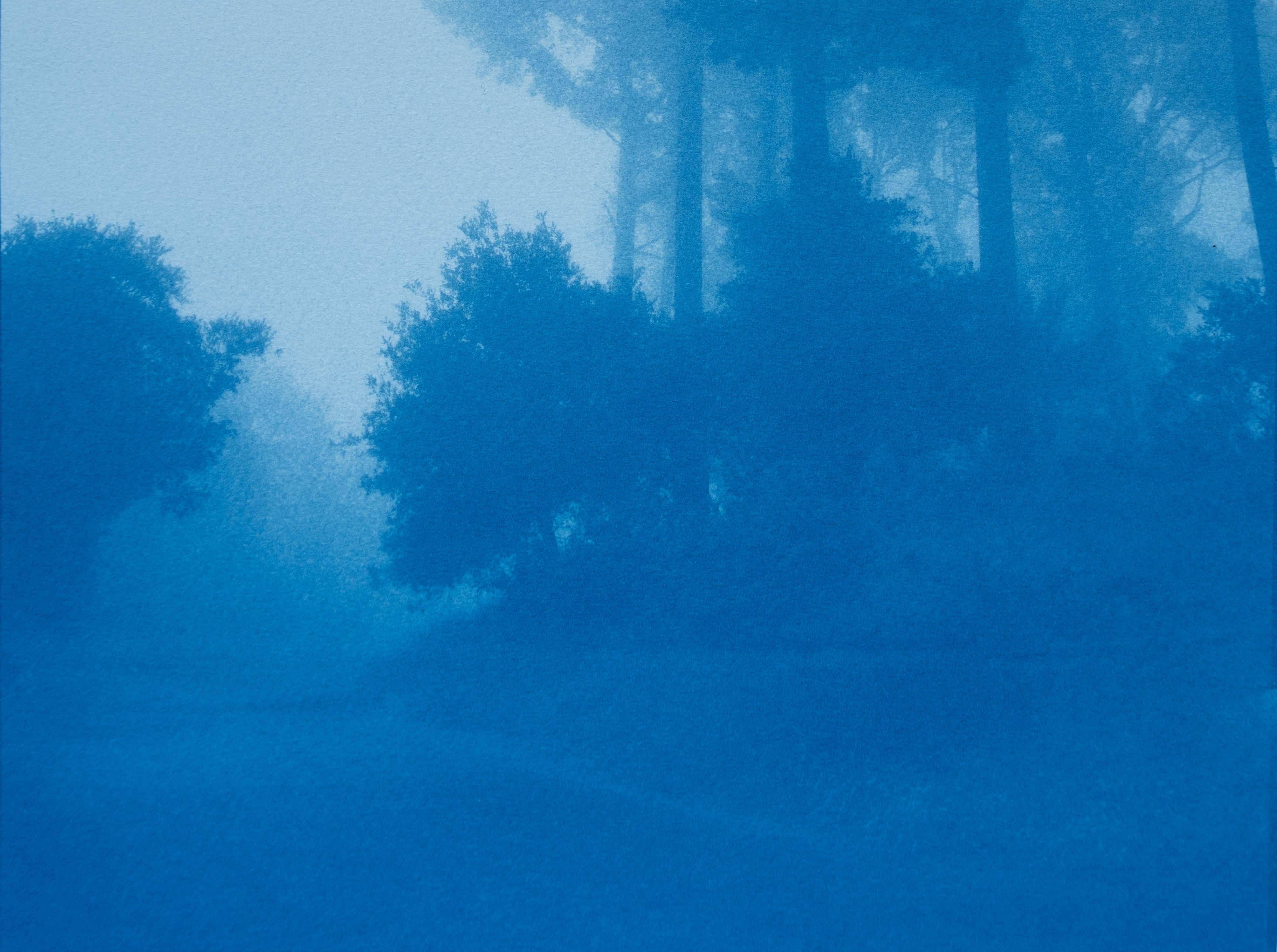 Caminante No Hay Camino (cyanotype imprimé à la main, 35 x 23