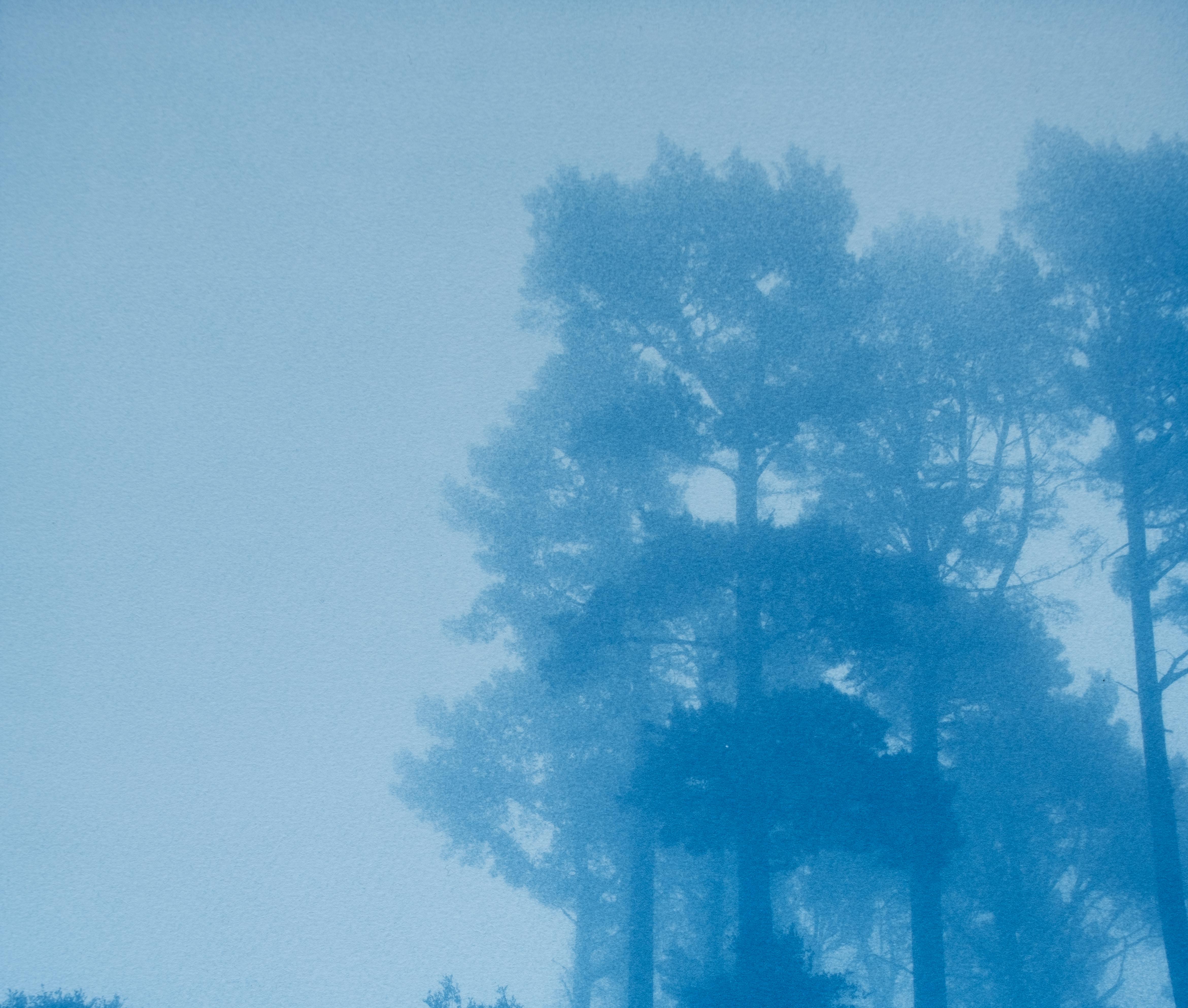 Caminante No Hay Camino (cyanotype imprimé à la main, 35 x 23