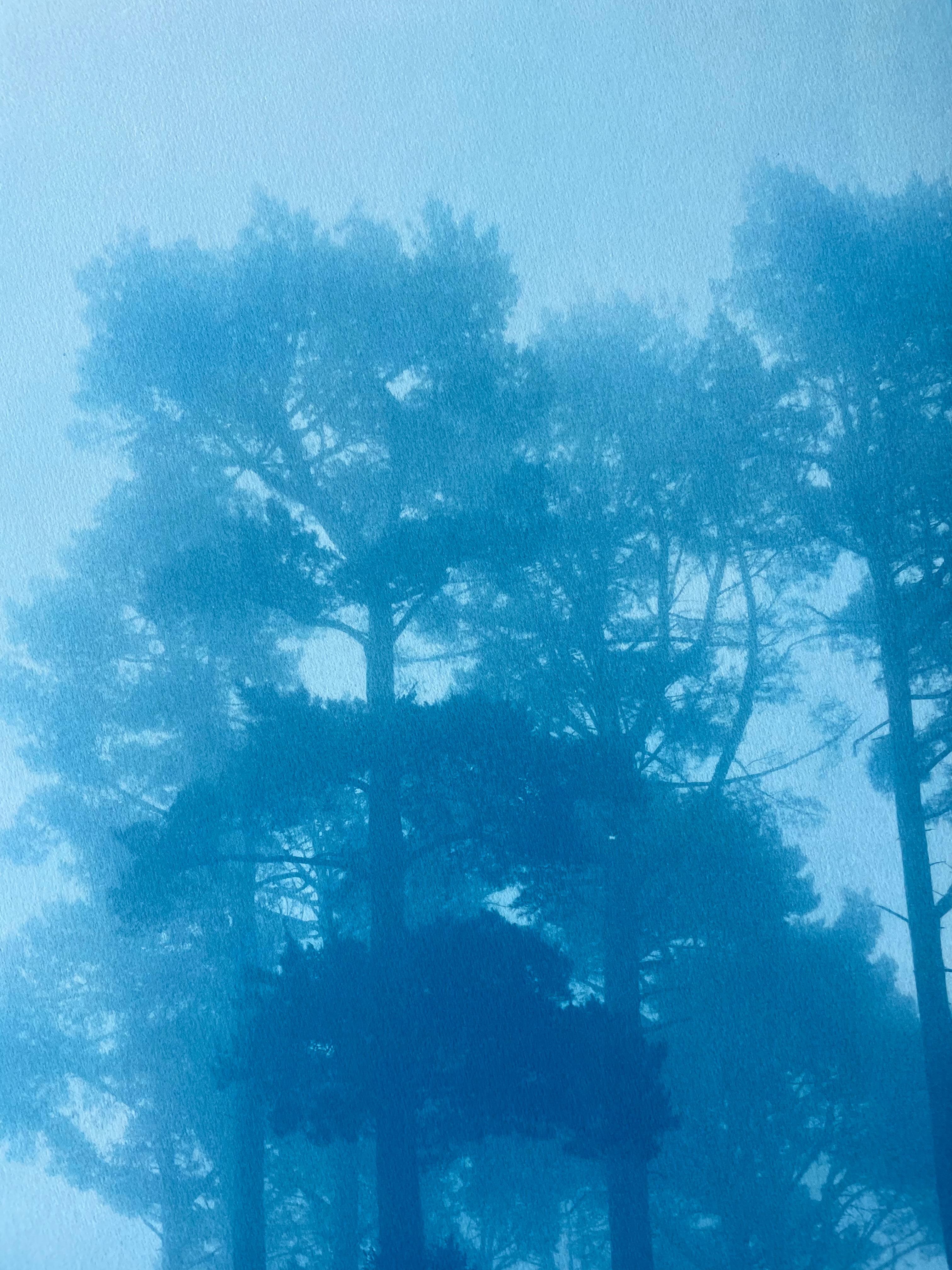 Caminante No Hay Camino (cyanotype imprimé à la main, 35 x 23
