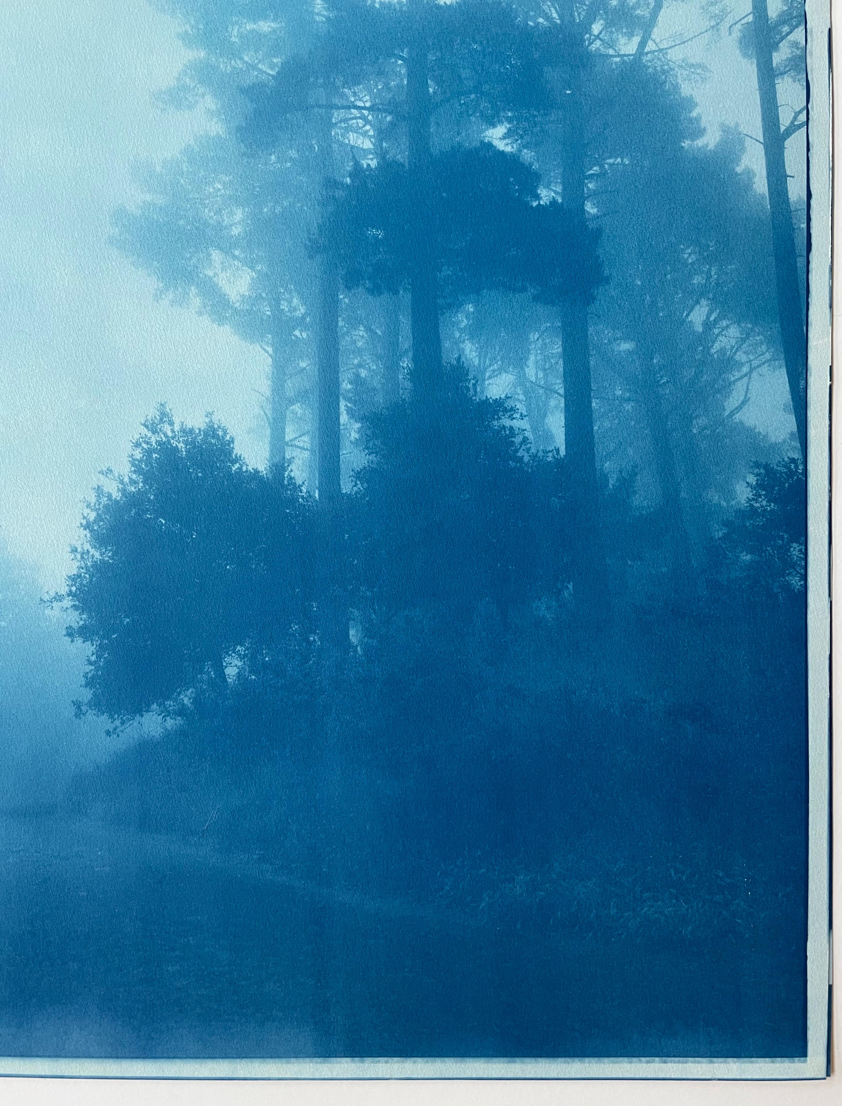 Caminante No Hay Camino (cyanotype imprimé à la main, 35 x 23