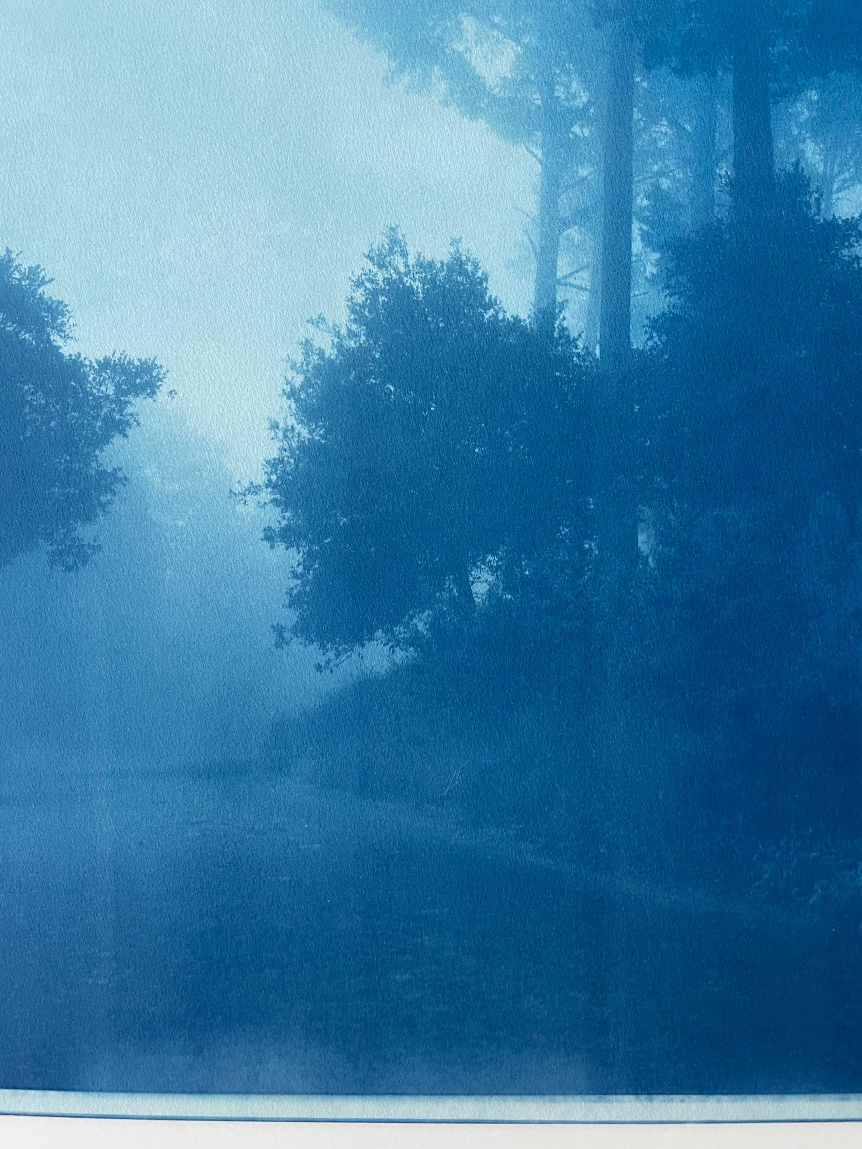 Caminante No Hay Camino (cyanotype imprimé à la main, 35 x 23
