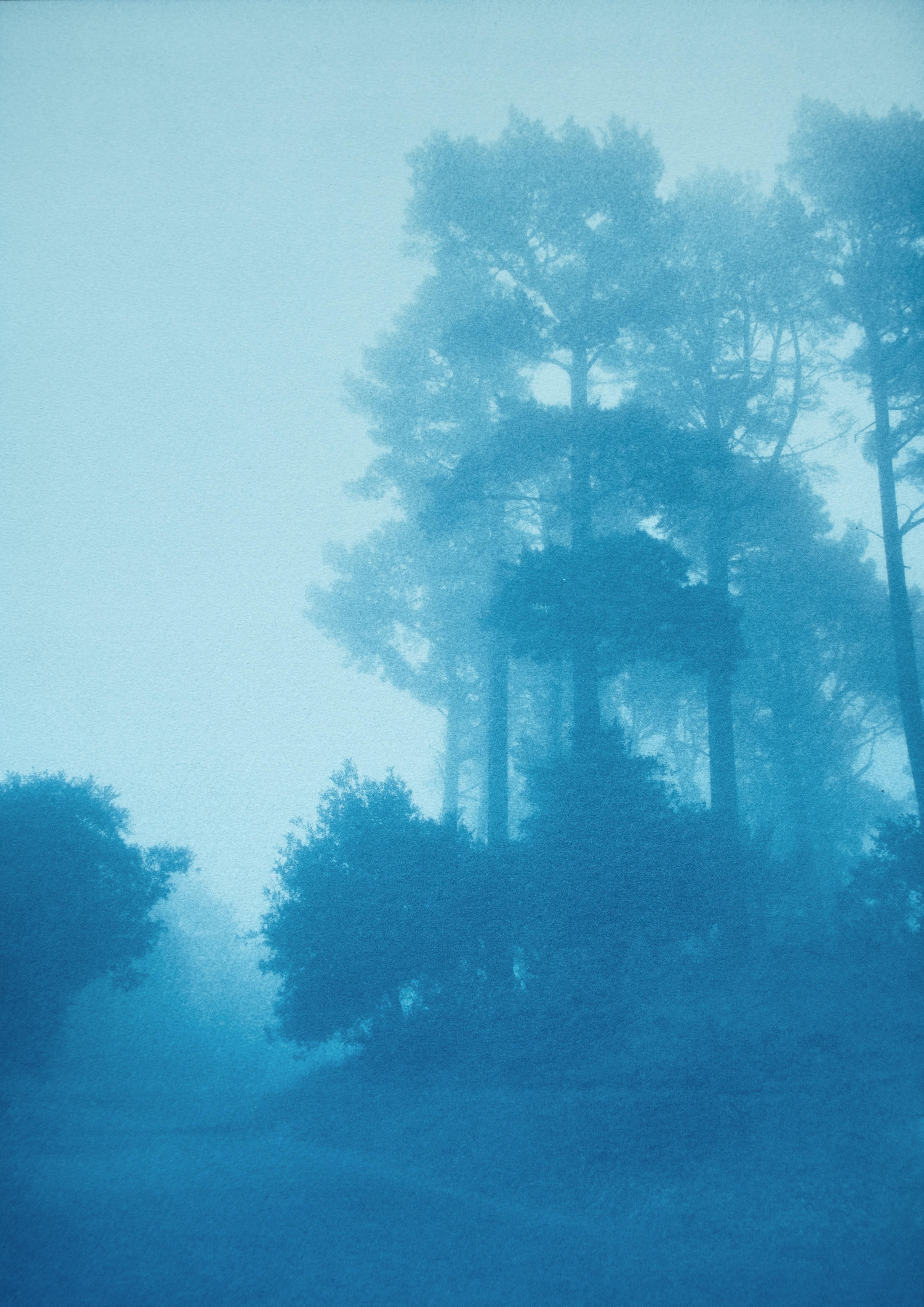 Caminante No Hay Camino (hand-printed cyanotype, 35 x 23", ed. 1 of 3)
