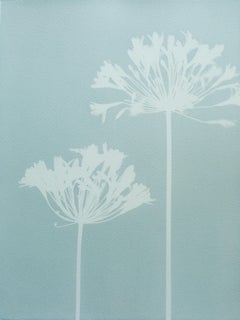 Celadon Agapanthus (16 x 12 inch hand-printed cyanotype)