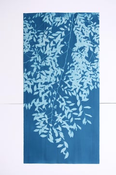 Olmo chino IV (cianotipia original, 40 x 20 pulgadas)