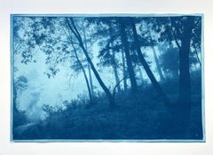 Cyanotype Landscape Photograph "Round the Bend", (23 x 35 in., ed. 1 of 3)
