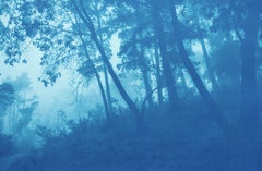 Cyanotype Landscape Photograph "Round the Bend", (23 x 35 in., ed. 1 of 3)
