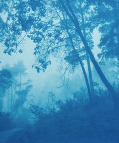 Cyanotype Landscape Photograph "Round the Bend", Signed, 18 x 24 in., ed. 1 of 5