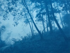 Cyanotype Landscape Photograph "Round the Bend", Signed, 18 x 24 in., ed. 1 of 5
