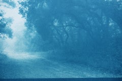 Fotografía de paisaje en cianotipia «The Path Home» (58,4 x 88,9 cm, n.º 1 de 3)