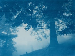 Dark Forest (18 x 24 inch hand-printed cyanotype, ed. 1 of 10)