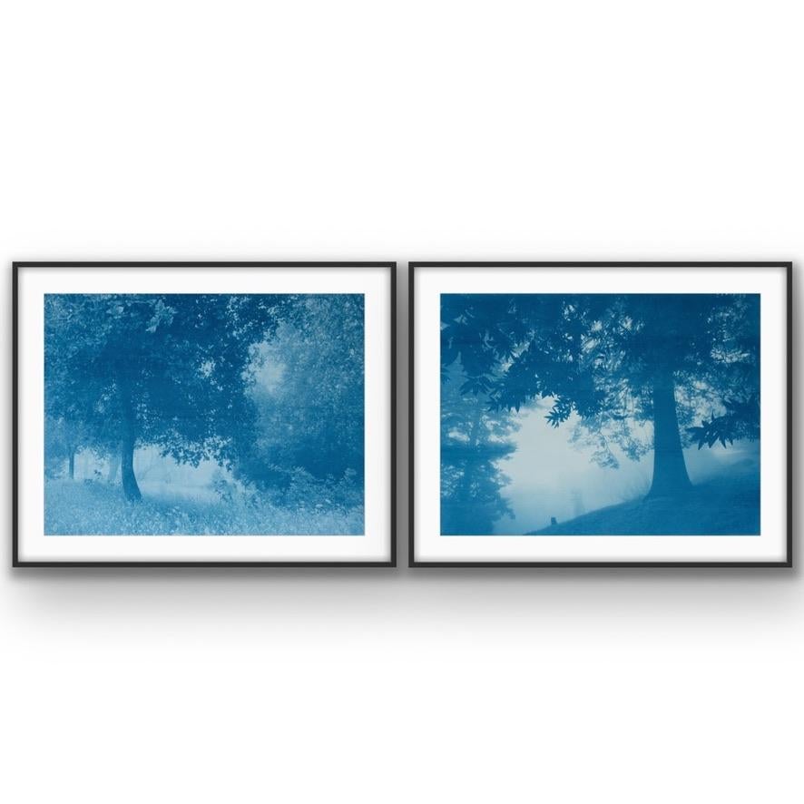 Dittico della foresta di giorno e di notte  (Due cianotipi da 18 x 24 pollici) in vendita 6