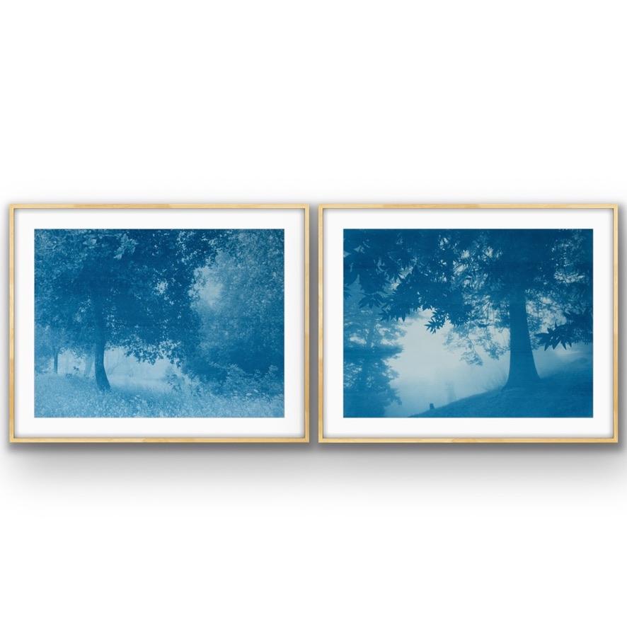 Dittico della foresta di giorno e di notte  (Due cianotipi da 18 x 24 pollici) in vendita 7