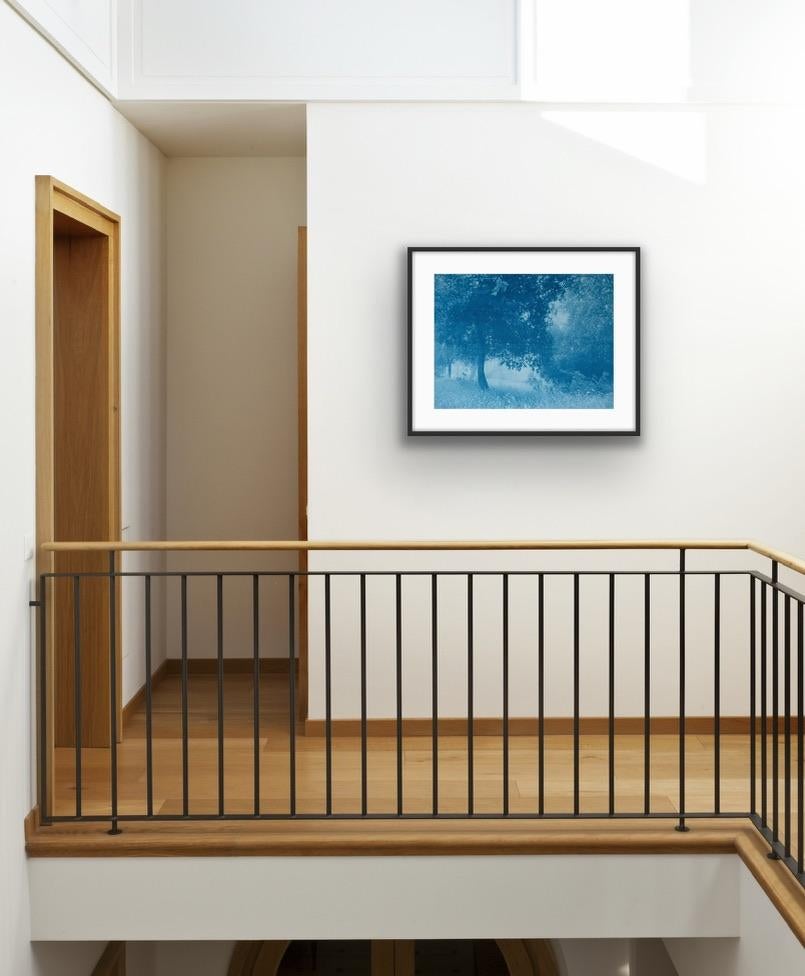 Dittico della foresta di giorno e di notte  (Due cianotipi da 18 x 24 pollici) in vendita 8