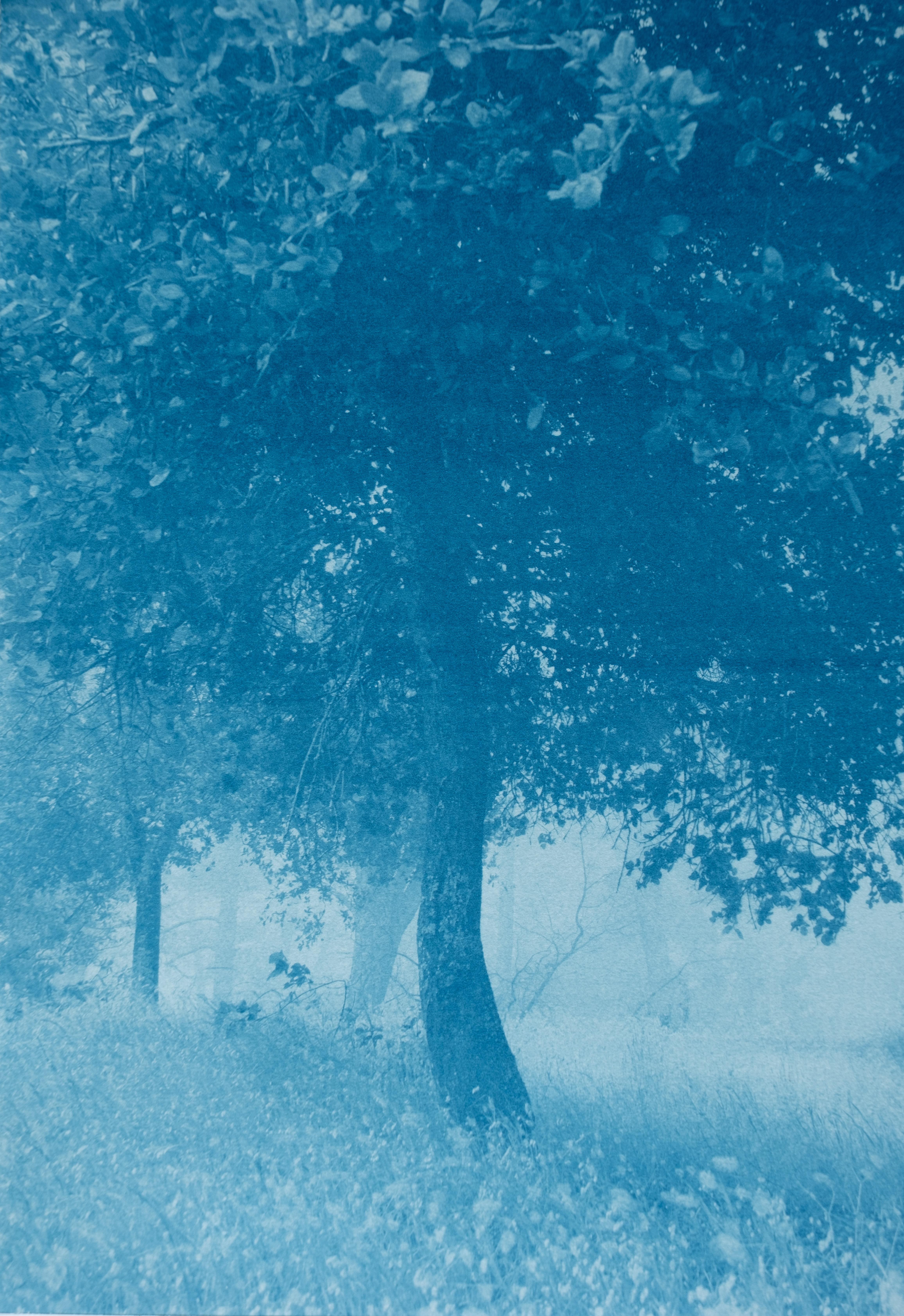 Dittico della foresta di giorno e di notte  (Due cianotipi da 18 x 24 pollici) - Print Contemporaneo di Christine So