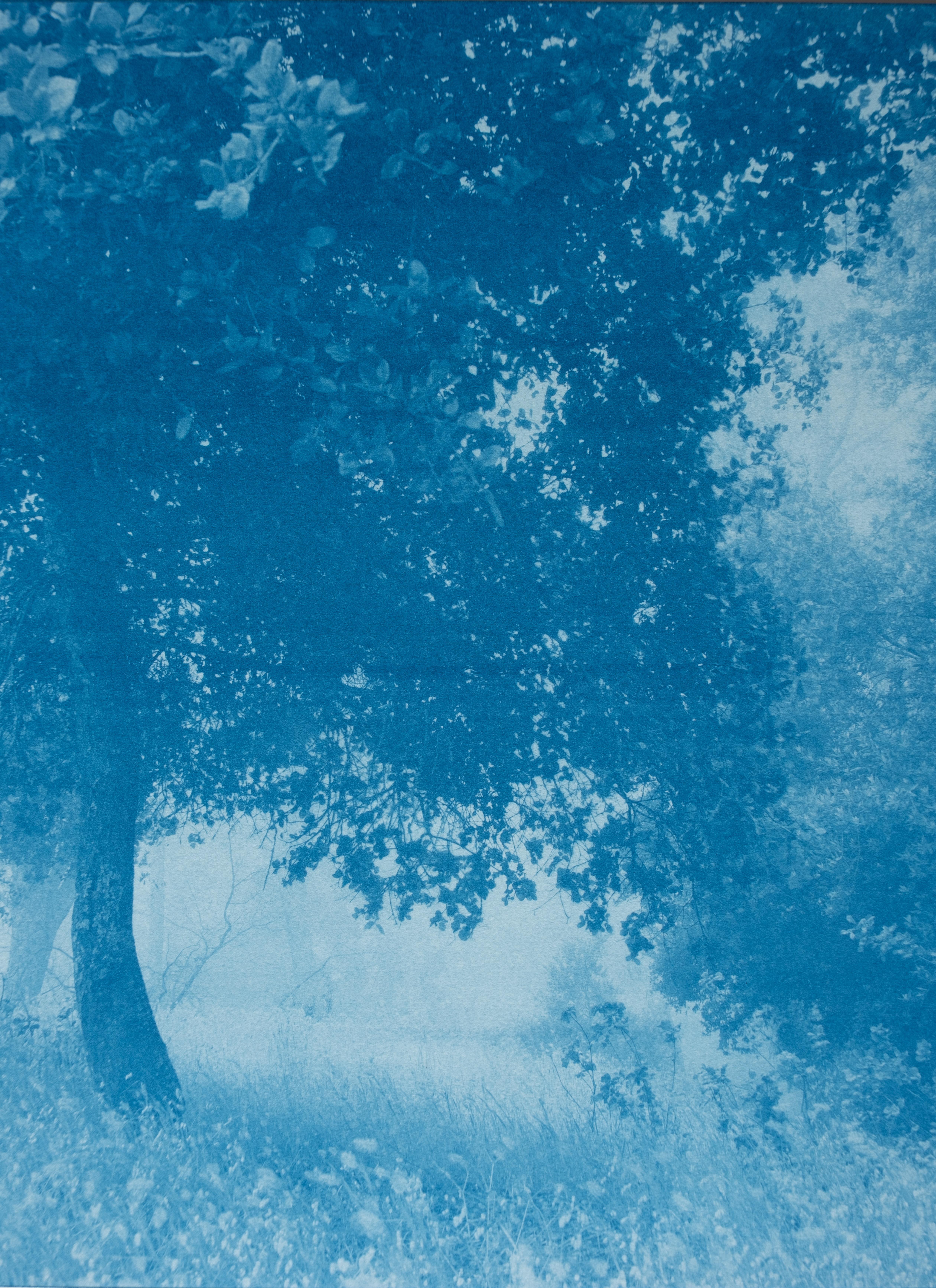 Dittico della foresta di giorno e di notte  (Due cianotipi da 18 x 24 pollici) - Still-Life Print Blu di Christine So