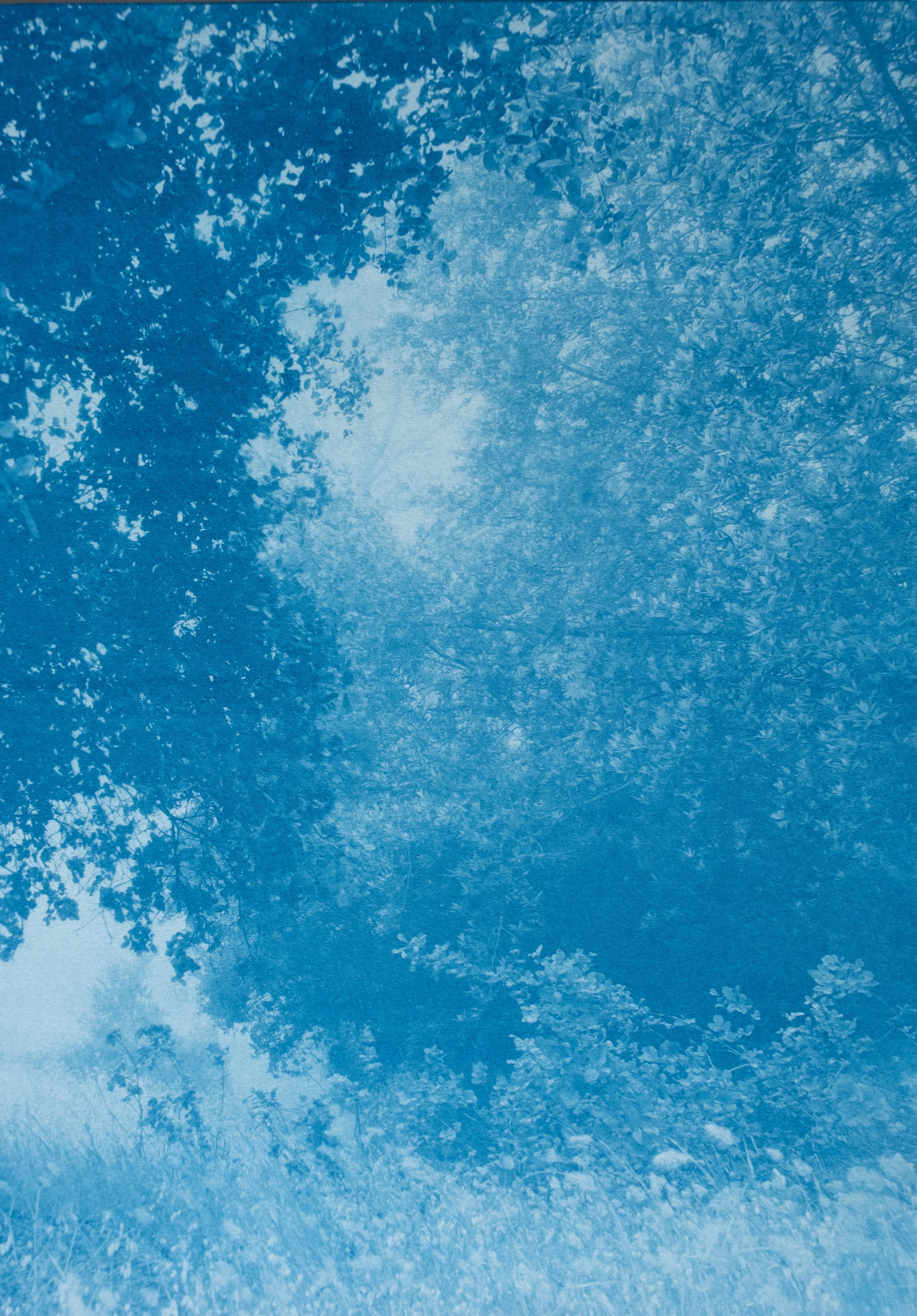 Si tratta di due fotografie di 18 x 24 pollici stampate a mano che ritraggono la nebbia con la luce del primo mattino nei boschi della California settentrionale, vicino a San Francisco, utilizzando l'antico processo di cianotipia. Le loro