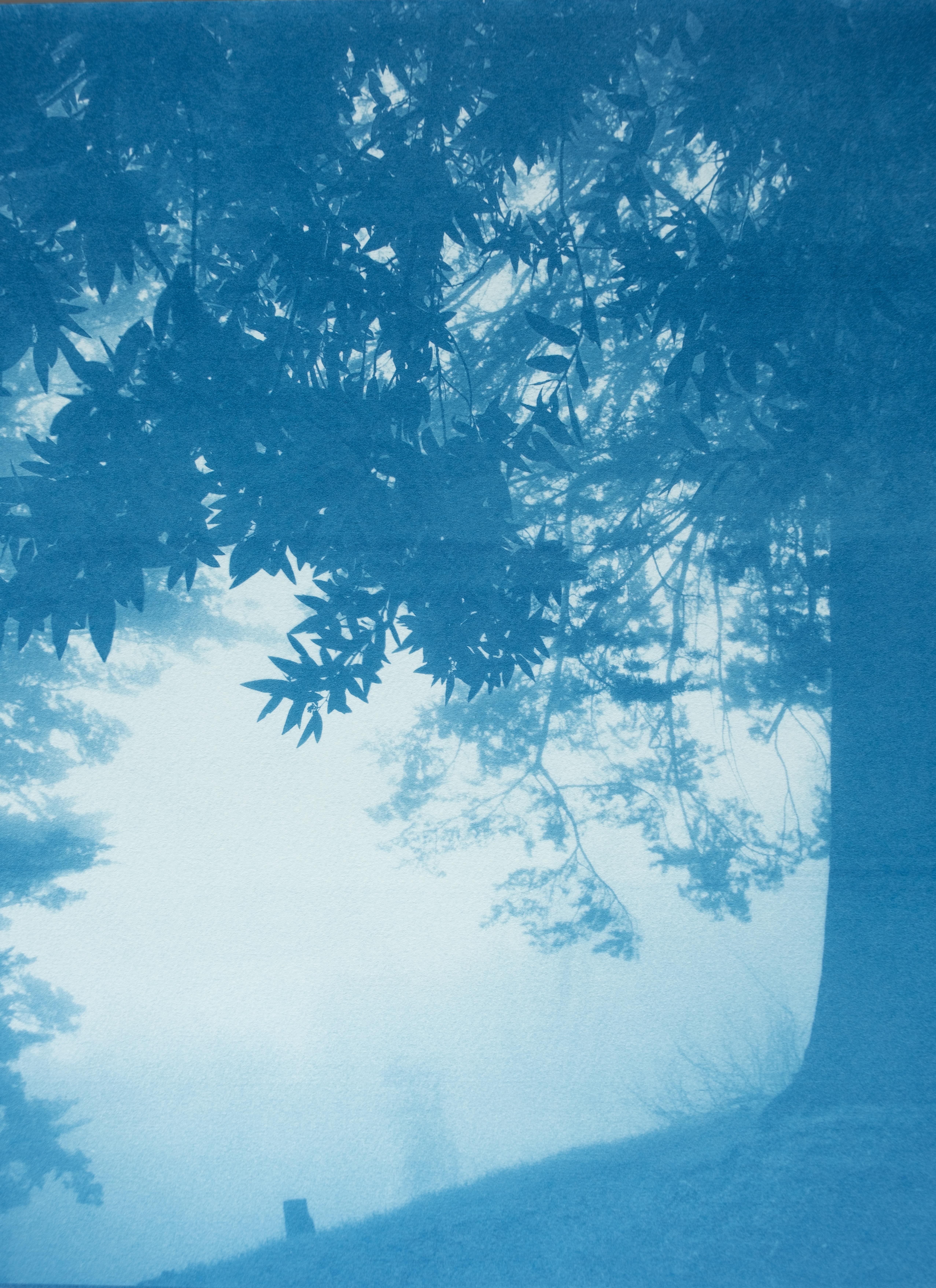 Dittico della foresta di giorno e di notte  (Due cianotipi da 18 x 24 pollici) in vendita 2