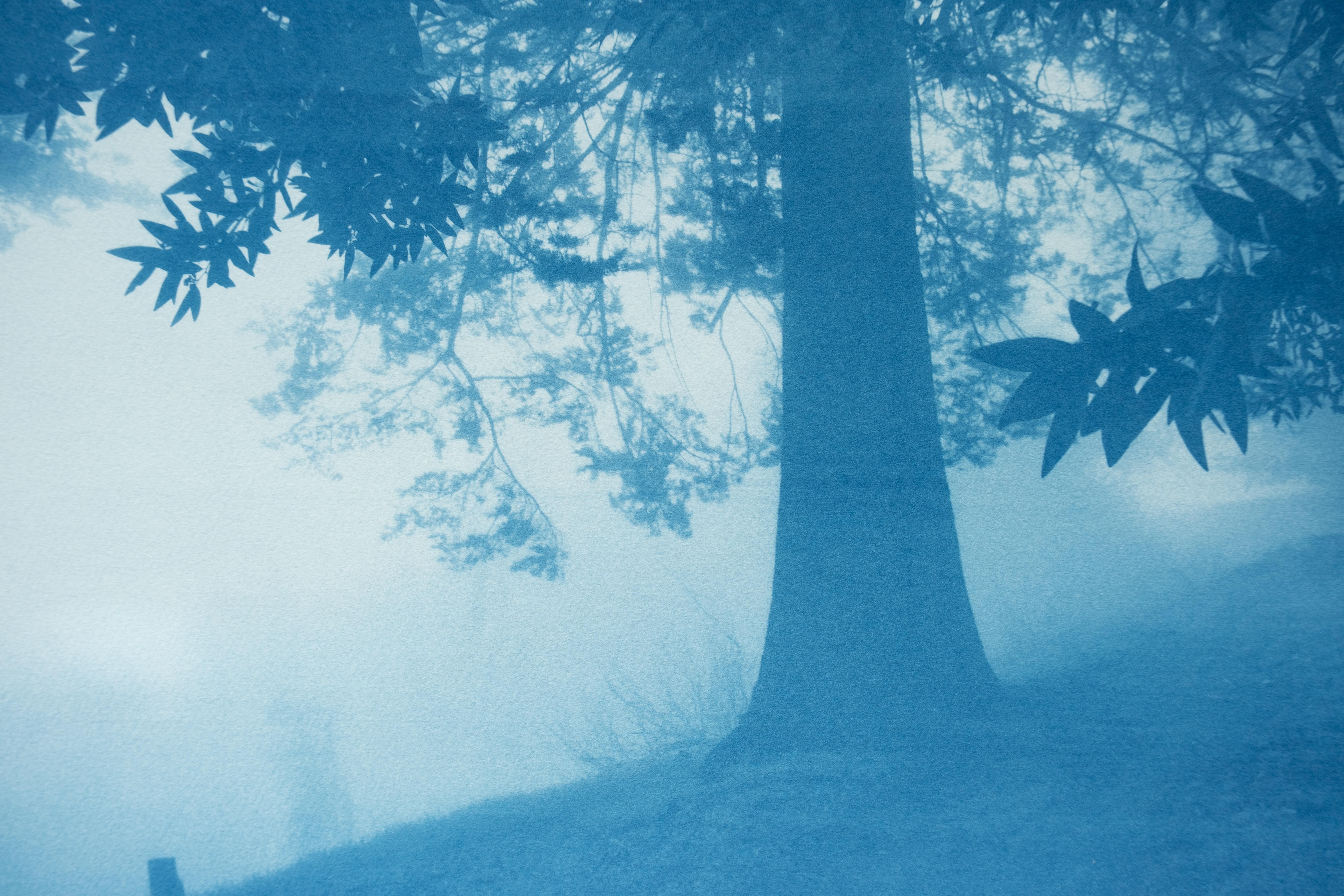 Dittico della foresta di giorno e di notte  (Due cianotipi da 18 x 24 pollici) in vendita 3