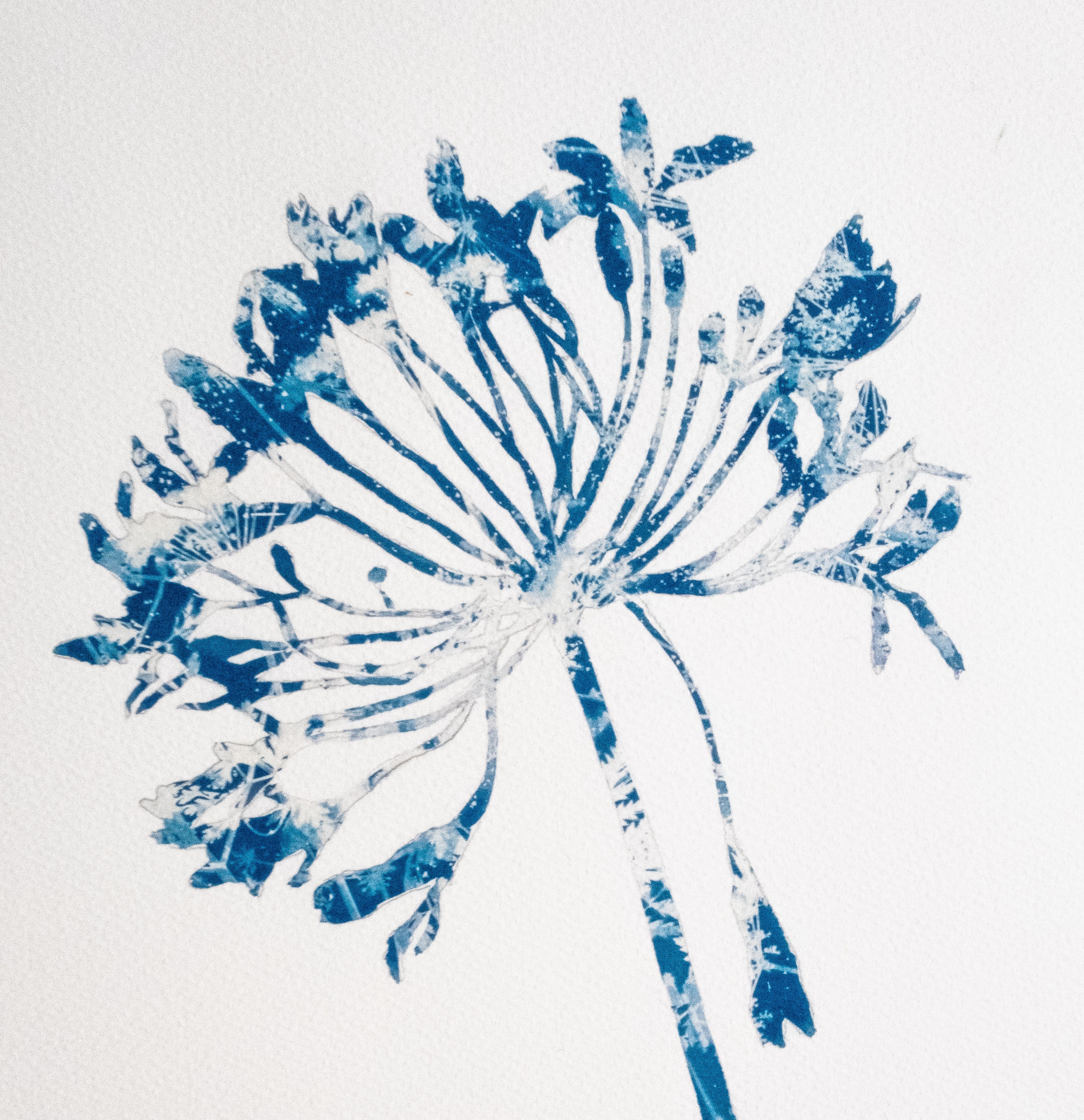 Unframed. 

This is a combination of painting and photography, the antique cyanotype process. The silhouette of the plant was first drawn, then painted not with ink or paint, but with light-sensitive photo emulsion. The blue and white pattern seen