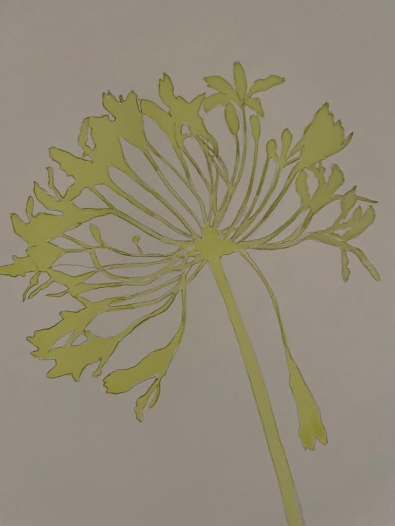 Delft Agapanthus 3 (Framed Original Cyanotype Painting 31 x 25