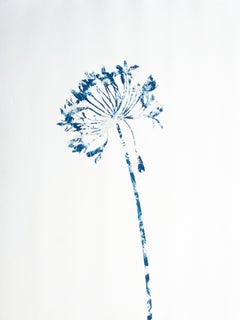 Delft Agapanthus 3 (Cyanotype Painting)