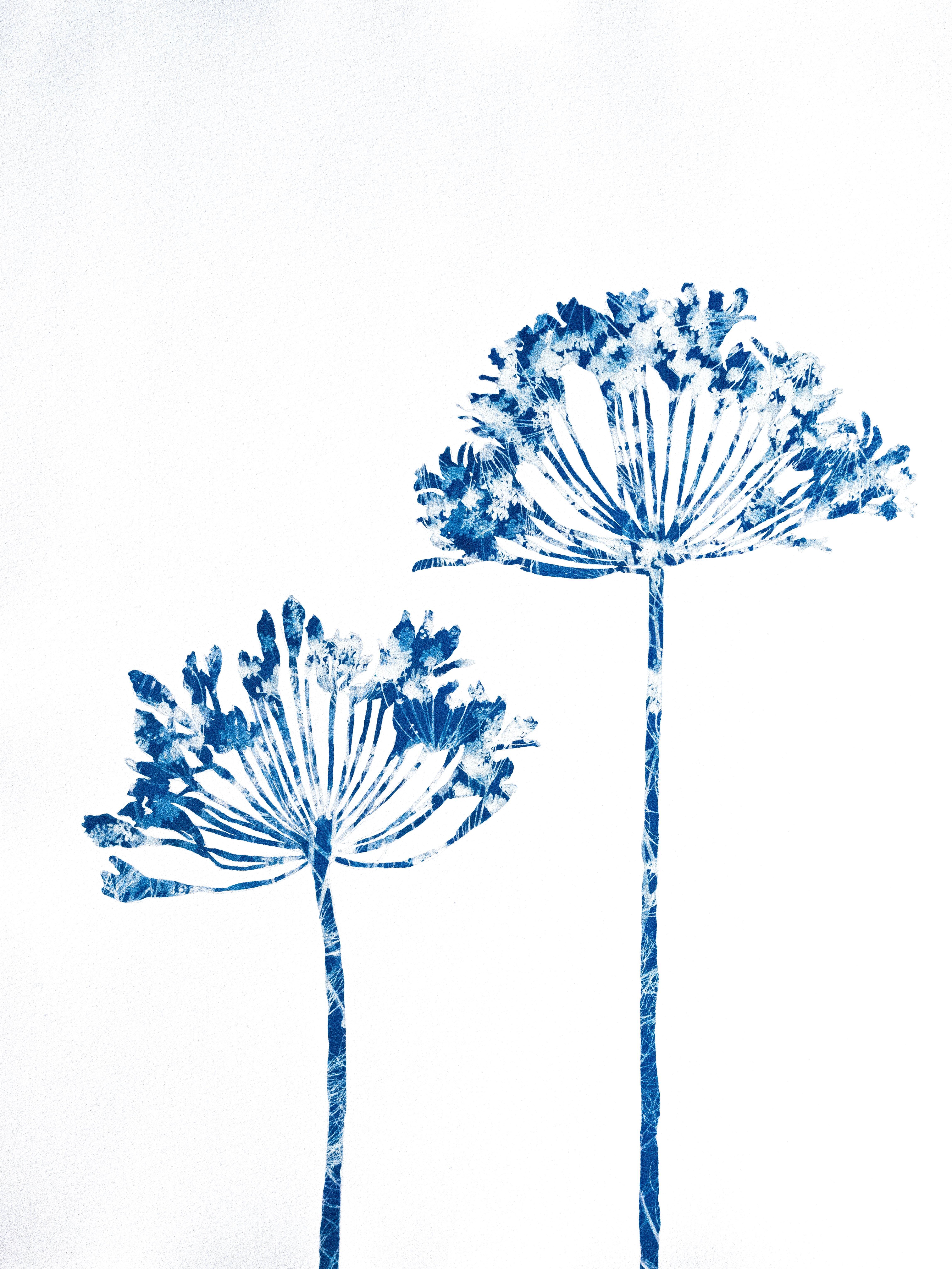 Delft Agapanthus 6 (Cyanotype Painting) - Mixed Media Art by Christine So
