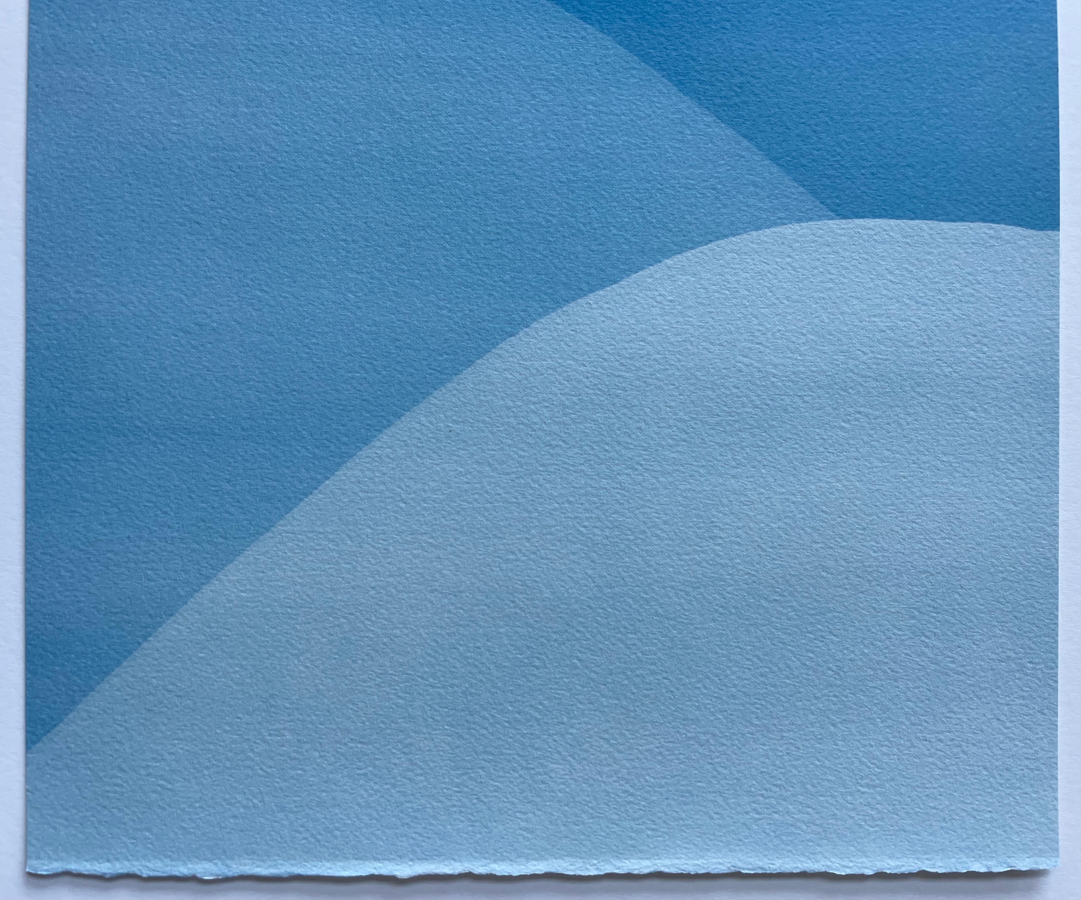 Bien qu'elle ressemble à une aquarelle abstraite géante en raison de ses gradations douces et de sa qualité lumineuse, il s'agit d'une forme de photographie appelée cyanotype, photogramme ou tirage au soleil. Il s'agit d'une photographie sans