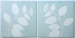 Elderflower Diptych (Two 12 x 12 inch original cyanotypes)
