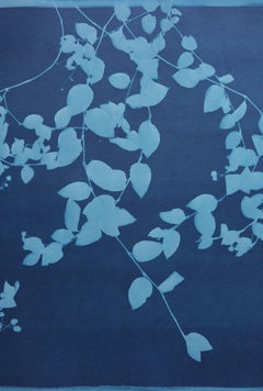 Evening Garden Wall (original cyanotype, 24 x 36 inches)