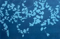 Evening Garden Wall (original cyanotype, 24 x 36 inches)