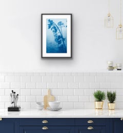 Pino que cae (cianotipia impresa a mano, 18 x 10 pulgadas)