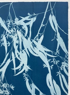 Flowering Eucalyptus Cyanotype Monotype, Hand-Printed, 30x21.5 Inches