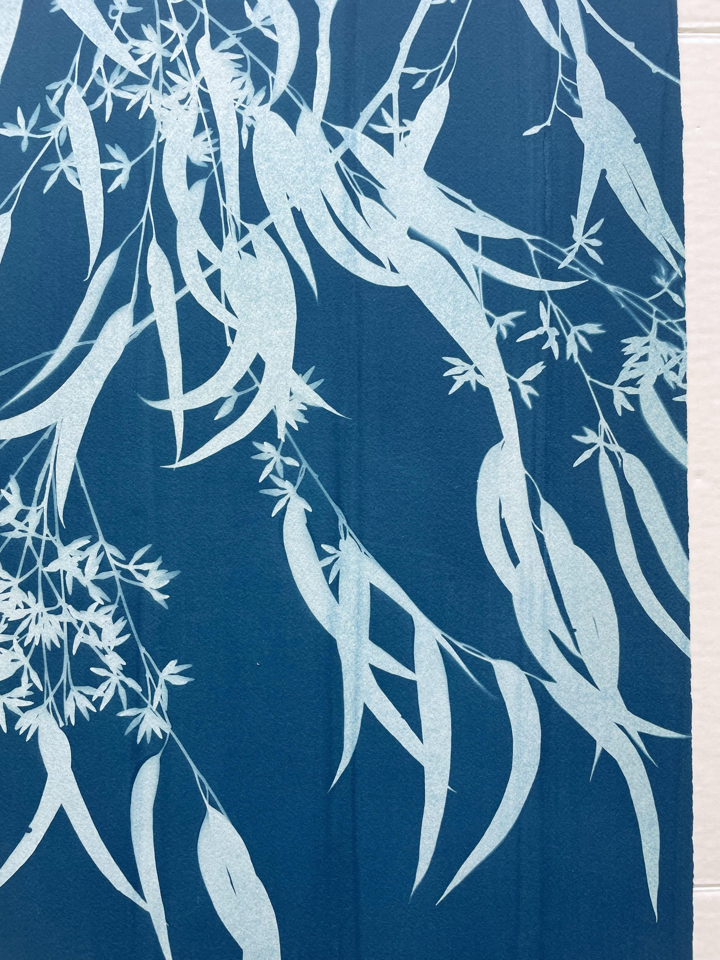 Sebbene possa sembrare una xilografia o una serigrafia, si tratta di un tipo di fotografia. I cianotipi sono un processo fotografico alternativo (senza fotocamera) del XIX secolo. Questo monotipo è stato stampato con rami freschi di una specie di