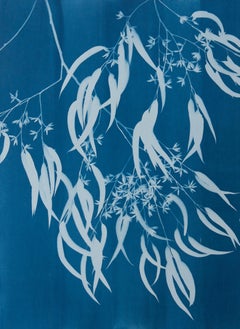 Flowering Eucalyptus II ( 30 x 21.5 inch hand-printed botanical cyanotype)