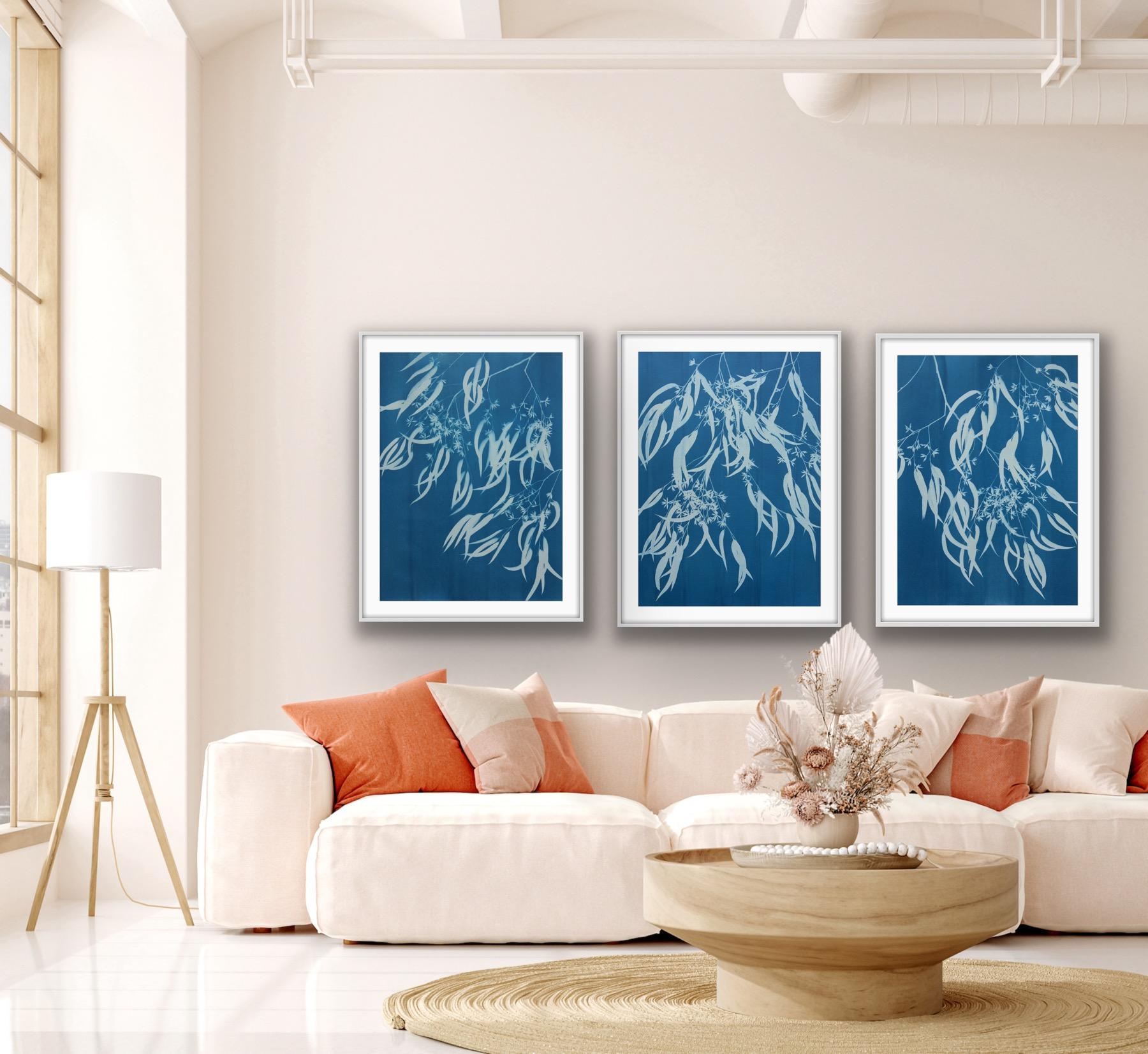 Flowering Eucalyptus III ( 30 x 21.5 inch hand-printed botanical cyanotype) For Sale 5