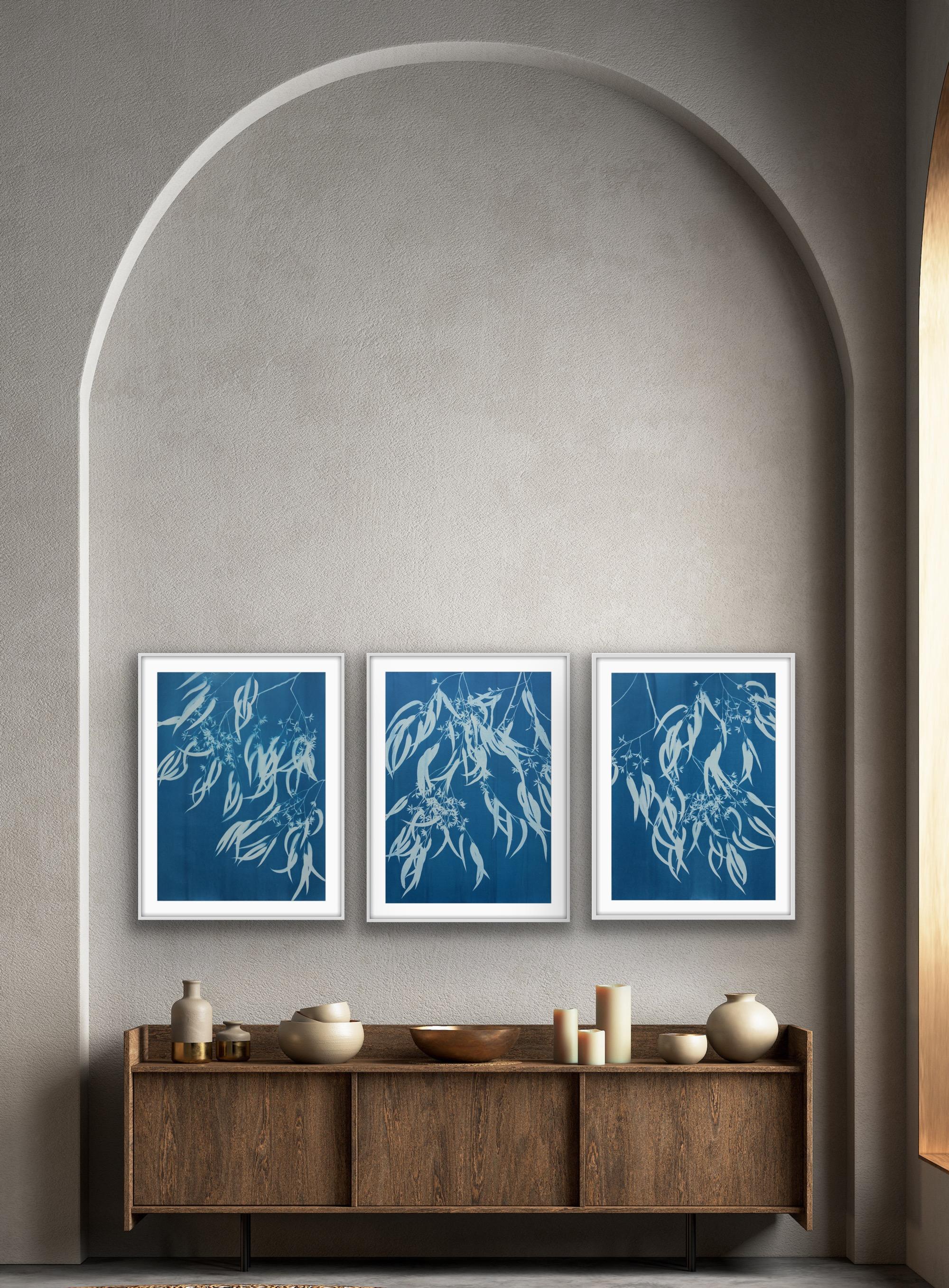 Flowering Eucalyptus III ( 30 x 21.5 inch hand-printed botanical cyanotype) For Sale 6