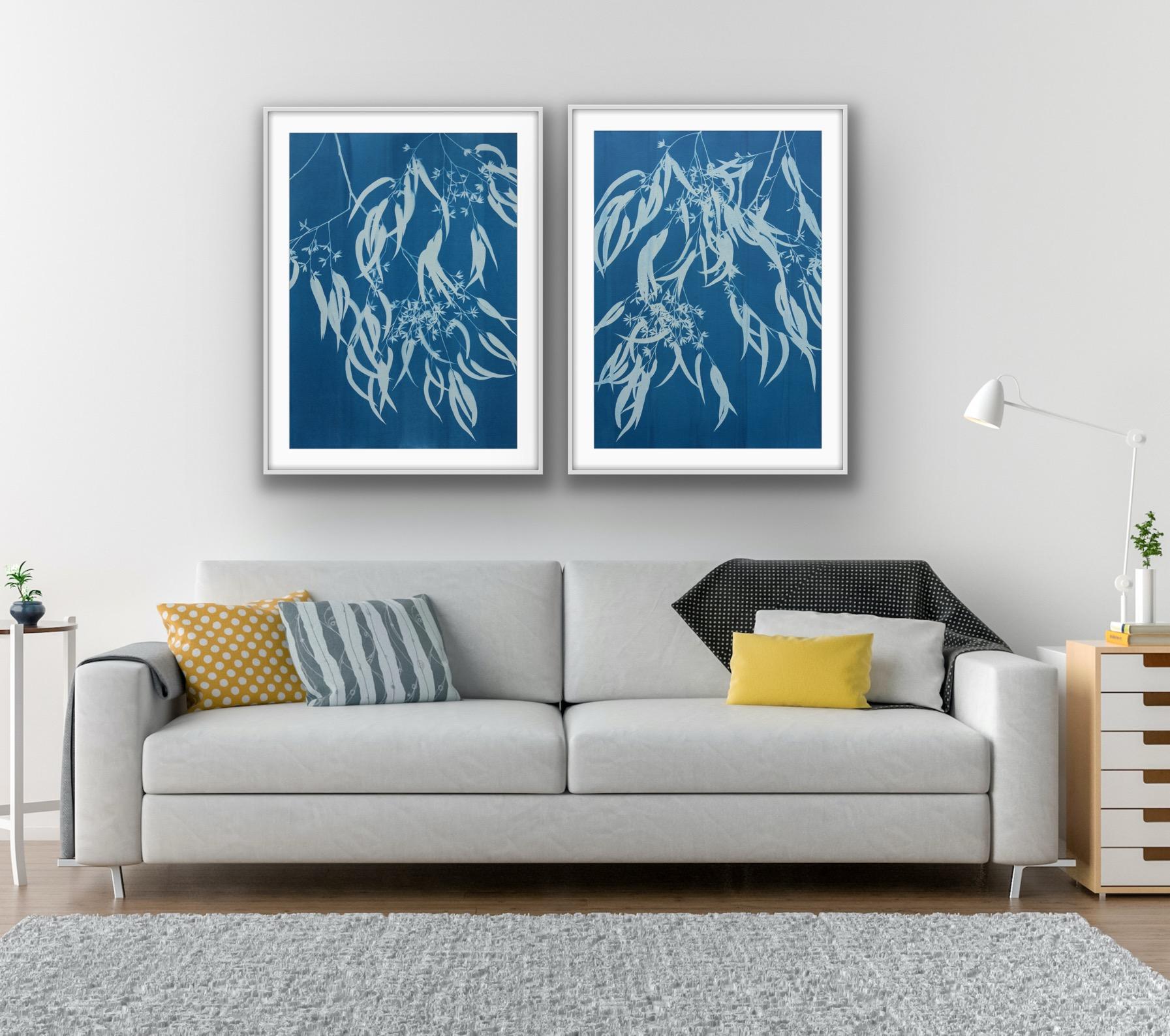 Flowering Eucalyptus III ( 30 x 21.5 inch hand-printed botanical cyanotype) For Sale 4
