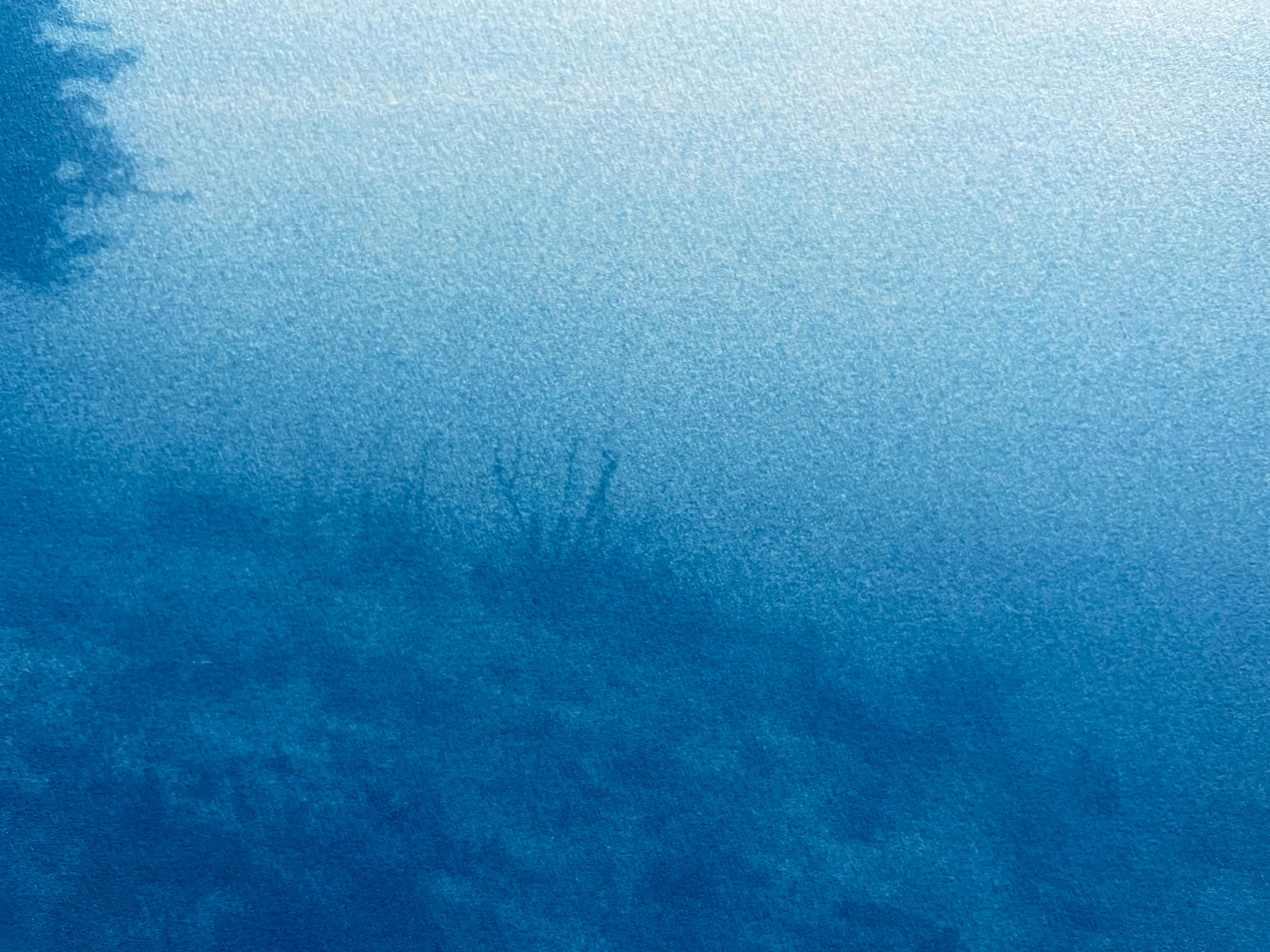 Niebla al amanecer, edición 1 de 5 (cianotipia impresa a mano, 11,5 x 17,5  pulgadas) - Photograph de Christine So