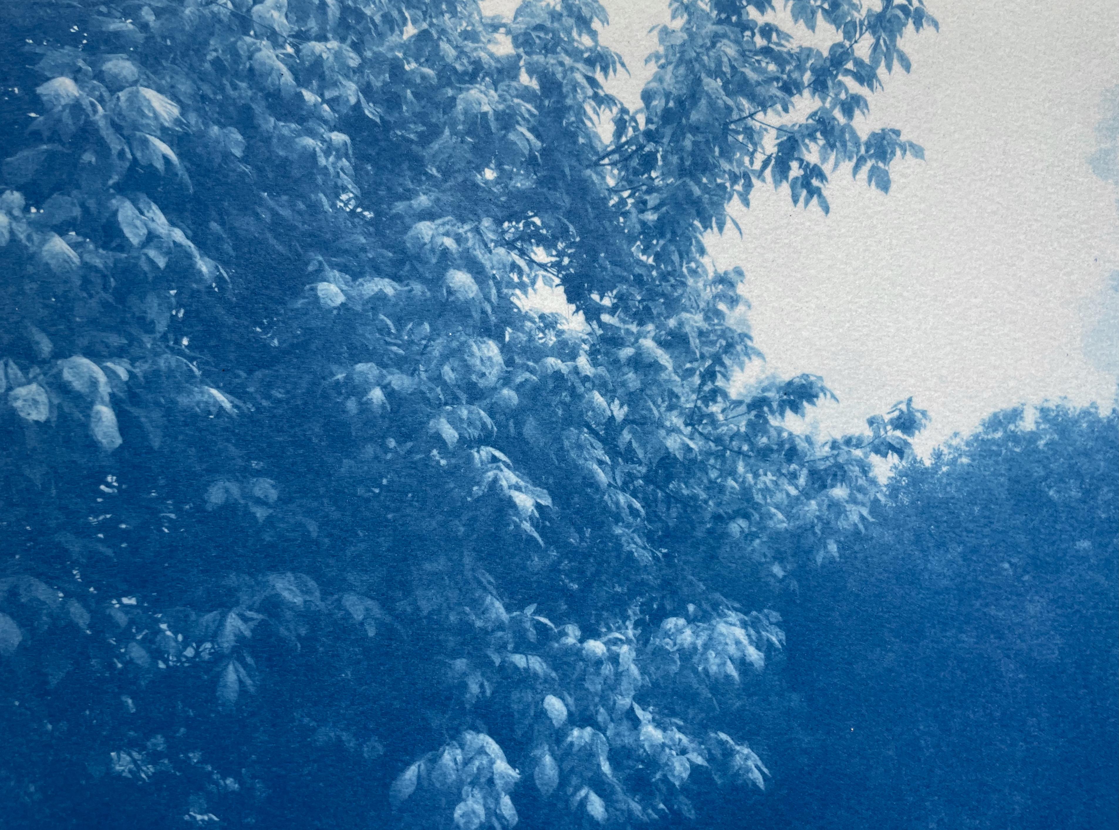 Fog Ridge (cyanotype imprimé à la main, 16 x 24