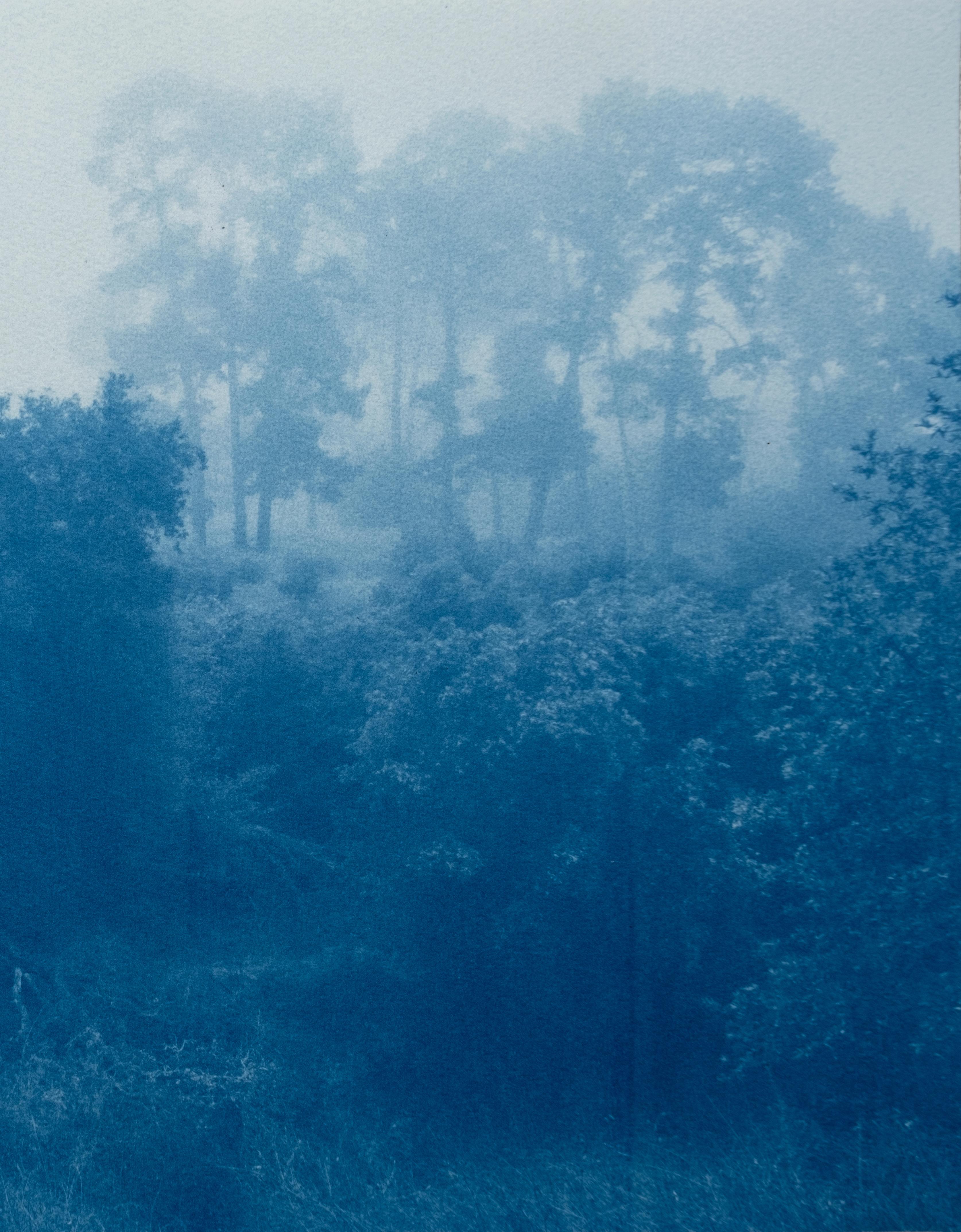 Fog Ridge (cyanotype imprimé à la main, 16 x 24
