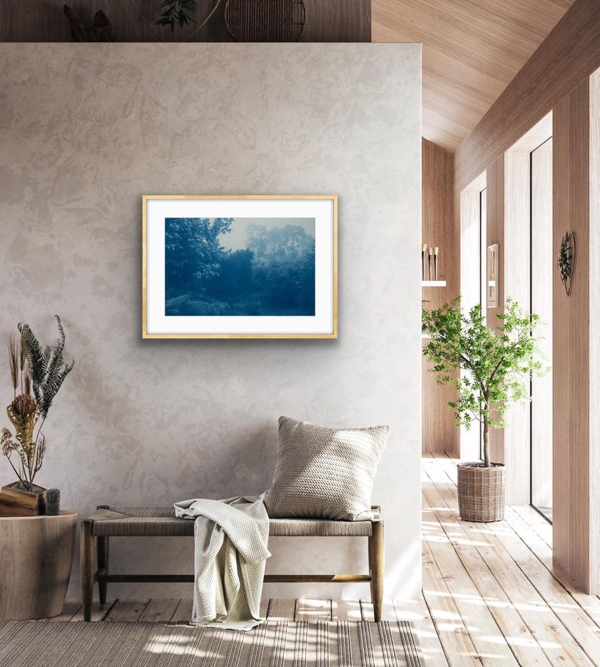 Tout nouvel ajout à la Collection Sals de forêts du nord de la Californie, près de San Francisco. Il s'agit d'une photographie contact imprimée à la main selon le procédé antique du cyanotype et de grands négatifs de la même taille que le tirage