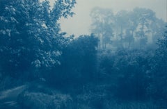 Fog Ridge (cyanotype imprimé à la main, 16 x 24", éd. 1 de 5)