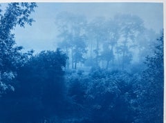 Fog Ridge (hand-printed cyanotype,  22 x 35" Artist Proof)