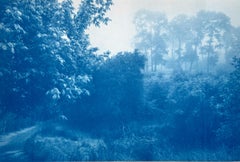 Fog Ridge (hand-printed cyanotype,  22 x 35" Artist Proof)