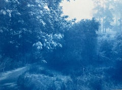 Fog Ridge (framed to 29 x 41 in. hand-printed cyanotype, 23 x 35", ed. 1 of 3 )