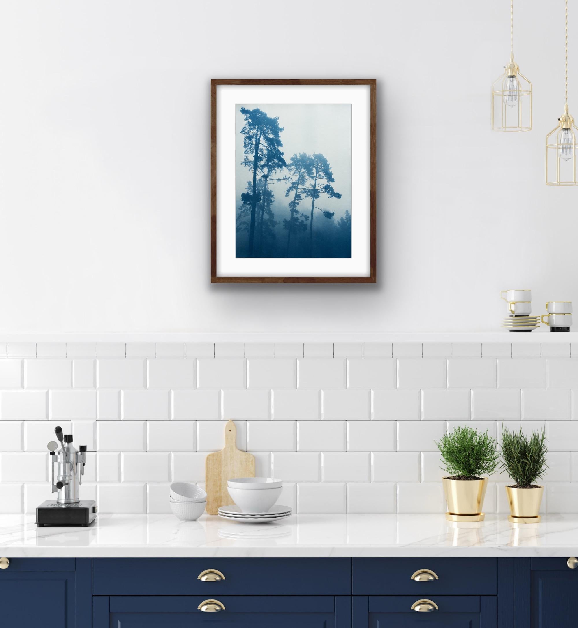 Foggy Morning Pines (Handgedruckte Original-Cyanotypie, 16 x 12 Zoll) – Photograph von Christine So
